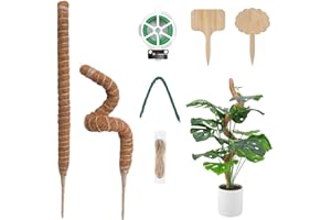 YUAENFI 2 Stück 60 cm Monstera Rankhilfe Biegbar Moosstab für Monstera, Pflanzstab Pflanze Rankhilfen Zimmerpflanzen, Pflanzstäbe Kokosfaser Pflanzenstab Rankhilfe Pflanzenstütze für Monstera