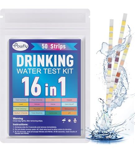Lood in drinkwater: al eeuwenlang gevaarlijk voor onze gezondheid