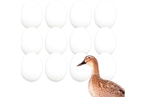 FINCA CASAREJO Œuf Faux Mouton Canard