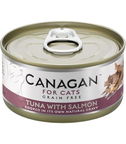 カナガンデンタル／カナガン／2袋／FREERUN TURKEY ／CANAGAN CANAGAN DRY CAT FOOD DENTAL FREE RUN TURKEY FOR KITTENS