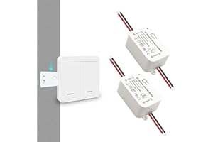 Tedeligo Kit interruttore luce wireless, trasmettitore radio RF 433MHz Interruttore a parete Ricevitore wireless CA 220V 230V fino a 100 metri Telecomando per luci