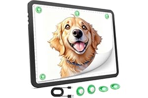 ZOCELIGHT Up To 9000Lux Super Bright A4 Light Pad,Rechargeable light box with 4000mAH Lithium Battery for Cricut Weeding Vinyl Tool,Magnet light box for tracing,light board for Diamond Painting,Sketching,Tattoo