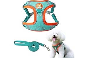YIMAI Arnés para Perros Arnés de Paso Ajustable Arnés de Pecho Transpirable Acolchado Suave Reflectante para Adiesreamiento Correr Perros medianos y Pequeños Cachorros Mascotas (S, Lago Azul)