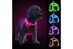 PCEOTLLAR Light Up Dog Harness, Rechargeable LED Dog Harness for Puppy Small Medium Dogs Reflective Flashing Glow in the Dark Waterproof for Night Walking, Pink-M