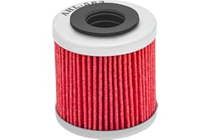 TONGTONG AHL Motocicletta Filtro olio moto Filtro olio 1 pezzo per Derbi Terra 4T 125 2007-2013/Derbi Gpr 4t 125 2009-2013/Derbi Senda Racing 4t 125 2009-2013/Sm450r 450 2008-2010