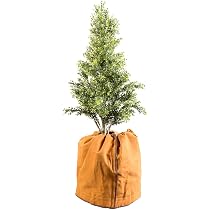 Royal Gardineer Topfabdeckung 40x40 Cm – Winterschutz Für Pflanzen Mit Drainage
