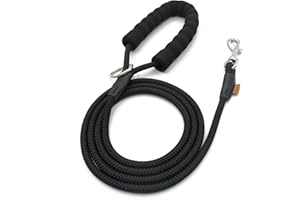 Aiminto Dog Leash, Braided Rope Traction – Walking Training Lead for Small Dogs ((1/3") - 6FT, Black)