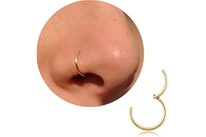 DAI JY Nasenring Gold Silber dünn Nasenpiercing Ring Titan für Damen Herren 20G 18G 16G Septum Tragus Conch Ohrringe Lippenpiercing Nasen Piercing Ringe Schmuck 6mm/7mm/8mm/9mm/10mm