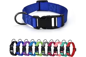 AUDWUD Dickes Nylonhalsband,klassisches verstellbares Hundehalsband in Mehreren Farben,geeignet für kleine,mittlere und große Hunde,4 Größen
