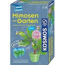 Experimente Für Kinder Ab 6 KOSMOS 657819 Feen-Erdbeeren Experimentier-Set Pflanzset Bastel Sets