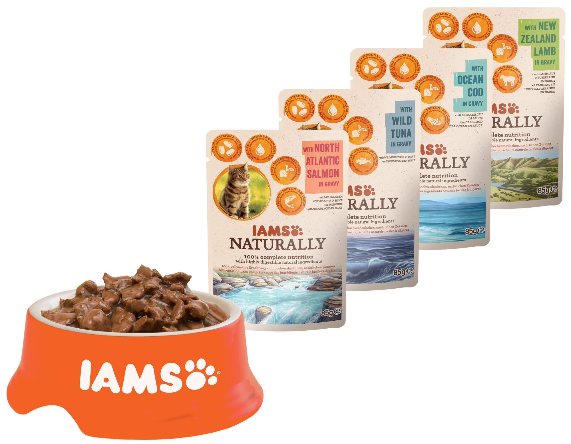 IAMS