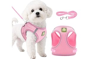 DOINEUFL Puppy Harness, Dog Harness and Leash Set, Soft Mesh Reflective Breathable Lightweight Vest-Style Dog Harnesses with Safety Buckle for Small and Medium Dogs, Cats, Puppies (Pink, XS)