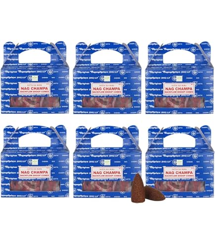 Kit Combinés Filetés AP Sport pour MINI R50 R52 R53 - Confort