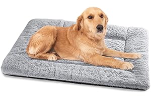 Baodan Hundebett Mittelgroße Kleine Hunde, Hundekissen Waschbar Dog Bed - 75x50 cm Superweich Katzenbett mit Rutschfester Unterseite - Grau