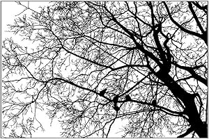 YFairy - Silicone Clear Seal Stamp, Tree Background, DIY, Scrapbooking, Embossing Photo Album Decoration, Paper Card Making, Craft Handmade Gift