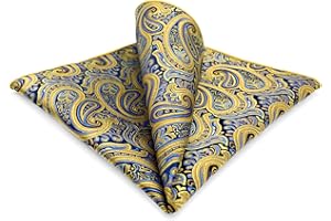 S&W SHLAX&WING Carré De Poche Paisley Traditionnel 32cm Costume Mariage Cérémonie Haut De Gamme