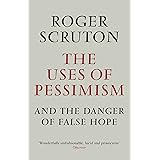 The Uses of Pessimism