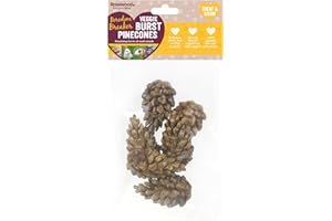 Rosewood Veggie Burst Pinecones - Treat and Gnaw, Made with Natural Grasses and Vegetables, Boredom Breaker Treats for Rabbits, Guinea Pigs, Hamsters and all other Small Animals, 6pc