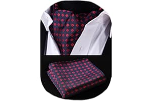 HISDERN Ascot Homme et Pochette Ensemble Paisley Fleuri Ascot pour Homme Élégant Foulard Homme Soie Mouchoir Cravate Ascot pour Formelle Mariage