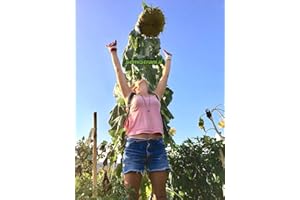 SEMI STRANI GIRASOLE GIGANTE MARTINI 50 SEMI, UN MURO DI FIORI ALTO 5 METRI + Guida Coltivazione