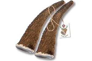 ChronoBalance-S Bois de Cerf pour Chiens, 100% Naturel, Pièces Entières, Os à Mâcher, Jouet pour Chiens, Soin Dentaire, Riche en Minéraux et Nutriments, Longue Durée, Lot de 2