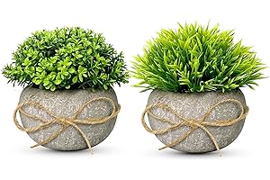 TFCIOD 2 Pezzi Piante Artificiali, Piante Finte da Interno, Piante Finte in Plastica, Piante Artificiali da Interno, Pianta Finta Per Camera da Balcone, Letto, Cucina, Decorazioni Casa (003)