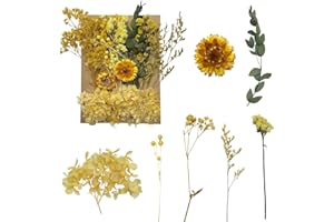 RUGBOL Getrocknete Blumen, gepresste Blumen, Trockenblumen, getrocknete Blumen, Basteln für Heimwerker, Kunstharz, Scrapbooking, Schmuckherstellung, Blumendekorationen(Gelb)