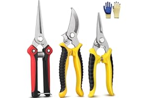 GEEDIAR Garden Secateurs, 3 Pack Pruning Scissors Garden Secateurs Kit with Stainless Steel Blade Locking Mechanism and Garden Gloves for Fruit Branch, Hedge, Bouquet Making & Vegetables, Plants