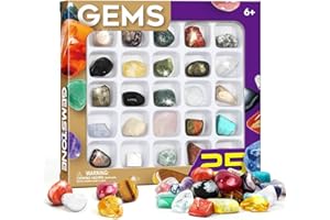 Byncceh Set di 25 Pezzi Naturali minerali Pietre Naturali esemplari fossili, Rocce e Minerali Collezionare, per la Scuola educazione geologica Decorazioni per la casa Regalo per Bambini