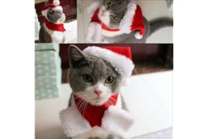 PETLESO Namsan Traje de Navidad Gato Disfraz de Perro Santa Gato Sombrero de Santa Christmas Costume Xmas Outfit