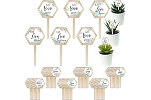 tinysiry 48 etiquetas Let Love Grow suculentas, todas las cosas crecen con etiquetas de amor, estacas de madera para plantas, marcador de jardín, regalo de boda, letrero de semillas de plantas, esta
