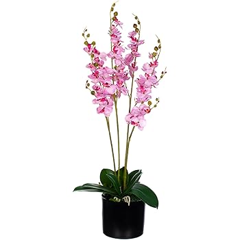 Amazon.de: B XL Orchidee im Topf JWP361 Riesige künstliche