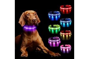 MASBRILL Perro Luminoso Recargable, Luz para Oscuridad 7 Colores 8 Modos de Parpadeo, Collar LED Ajustable Impermeable para Perros Grandes, Medianos y Pequeños, Morado-S