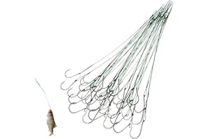 SPLDSUN 40 Pezzi Amo Pesca, Occhiello, Singoli Occhiello Amo Pesca, Vari Tipi Pesce per Mare, Lago, Fiume (Gancio Piatto, 2,5 cm)