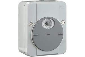 Schneider Electric Merten Argus Dämmerungsschalter, Schaltverzögerung, lichtgrau, Artikelnummer 544894