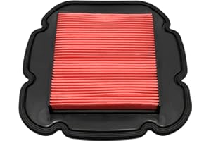 Yerbay Filtro de aire para Suzuki DL 650 V-Strom 2004-2020/ DL 1000 V-Strom 2002-2010/ Kawasaki KLV1000 2004-2006