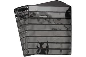 Pardo 100800 - Pack de 10 fundas de sellos - 16 alojamientos , Lámina central opaca negra y transparente a cada lado