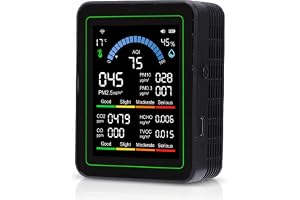 Bewinner 10 i 1 Smart Luftkvalitetsmonitor, CO2-testare för Hemmet, Detekterar TVOC HCHO PM2.5 PM1.0, Bärbar Inomhusluftmätar