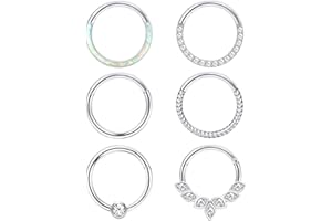Diamday 6 Pezzi Piercing Naso Anello Cerchio Septum Anello Acciaio Chirurgico Donna Uomo Helix Trago Naso Labbro Piercing Cartilagine Orecchio Clicker Septum Anello Conch Piercing Gioielli 16G 18G