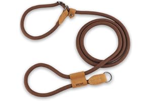 Wolfone Guinzaglio per cani con manico regolabile, resistente e durevole, comodo guinzaglio leggero per cani di taglia grande, taglia media, marrone
