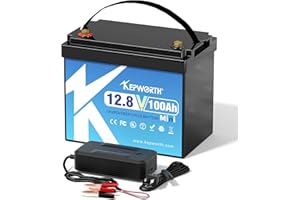 KEPWORTH 12.8V 100Ah Mini LiFePO4 Battery, Rechargeable Lithium Batteries with 100A BMS, UP to 4000+ Deep Cycles, Grade A Lithium Iron Phosphate Battery Cells, for Trolling Motor, Boat, Rv, Solar