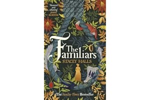 The Familiars: The dark, captivating Sunday Times bestseller and original break-out witch-lit novel