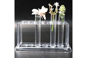 DRERIO 6 Pcs Test Tube Clear Test Bottle Rack 100ml Capacity Transparent Sealing Container Tube Holder with Lid Centrifuge Tubes with 2 droppers and 2 Spare Test Tubes for DIY Craft,Bath Salt Vials