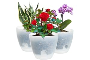 IWTTWY Pots de Fleurs Auto-arrosants en Plastique Transparent de 15 cm, Pots d'orchidées avec Drainage, pour intérieur, 3 pièces, 15 cm x 13 cm