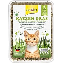 Kit 3 Plateaux Hydroponiques Pour Herbe à Chat - Culture Facile Sans Terre - 19x12cm