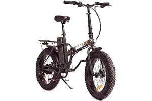 Nilox, Ebike X8, Bici Elettrica, Fino a 70 km di Autonomia, Fino a 25 km/h, Motore 36V/250W e Batteria Removibile