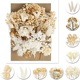 AMFUN Natural Dried Flowers, Crafts, Floral Decoration (Beige)
