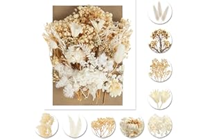 AMFUN Flores Secas Naturales, Manualidades, Decoración Floral (Beige)