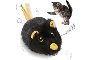 Pawsayes Jouet souris pour chat (noir)