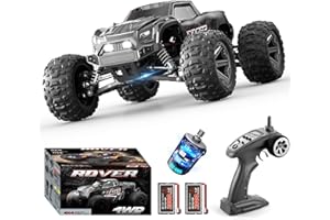 dexinco 1:14 Ferngesteuertes Auto, 55 km/h Hochgeschwindigkeits RC Auto, Wasserdichter All Terrains 4x4 RC Off-Road Truck, 2000 mAh Akku, Konkurrenzfähig mit Bürstenlosen Ferngesteuerte Fahrzeug